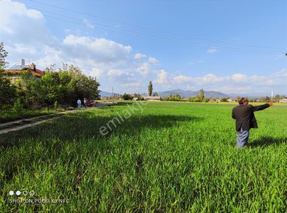 Özpınar,dan Kesecik Satılık 5 Tane İmarlı Arsa 2416 M2 Dogalgazl