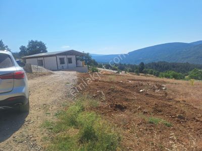 Berkay Emlaktan Satılık Tarla Güneybudaklar Köyü