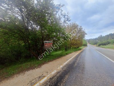 Berkay Emlaktan Satılık Tarla Güneybudaklar Köyü