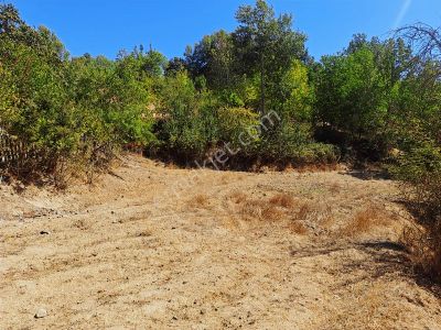 Berkay Emlaktan:güneybudaklar Köyü Satılık Tarla