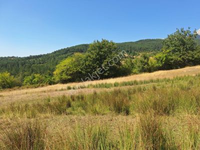 Berkay Emlaktan Satılık Tarla Güneybudaklar