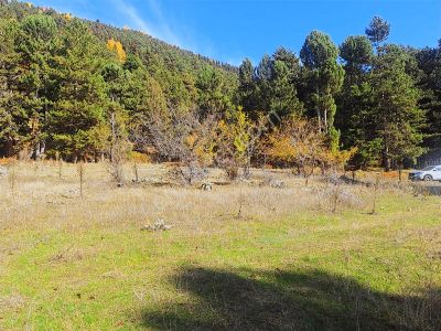 Berkay Emlaktan Satılık Tarla Güneybudaklar Köyü