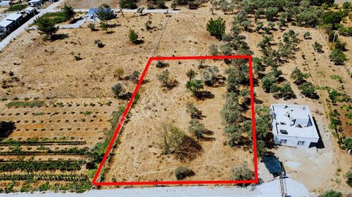 Remax Arma'dan Dirmil'de Acil Satılık Zeytinlik Elektrik&su