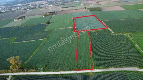 Torbalı Arslanlar Mah Süper Konumda Satılık Tarla