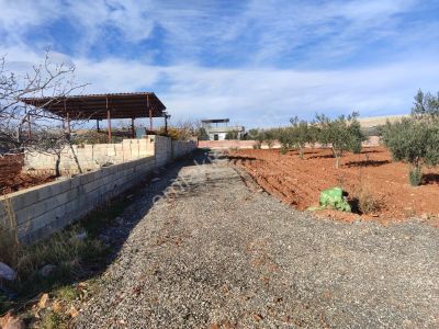 Arif Emlaktan Oğuzeli Gürsuda Satılık Tek Tapu Bağ Evlik Arazi