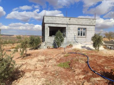 Arif Emlaktan Satılık Oğuzeli Subaşı Mahallesinde Tek Tapu Bağ Evi