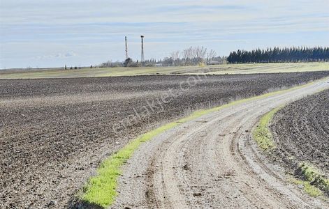 Remax Land Kırklareli Lüleburgaz Akçaköy Çiftlik Arazisi