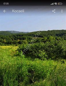 Tarcanlardan Kandırada Fırsat Tarla