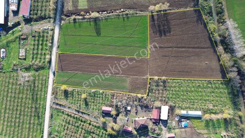 Acilllll!!!!!!! Duru Yapı Gayrimenkulden Satılık 7822 M2 Tarla