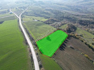 Blue Yatırım'dan Yalova İlyasköy'de Anayola Cephe 7358m2 Tarla