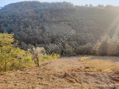 Karamürsel Çamdibi'nde Ev Yapımına Uygun Asfalta Sıfır Arazi