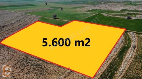 Bozova 5600m2 Sûper Yatırımlık