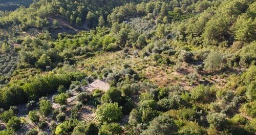 Araç Takaslı Karacaören Gûrdek Mah. Köy Merkezınde Yatırımlık