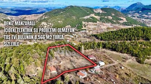 Geyikbayırında İçinde Ev Olan Tek Tapu 8.566 M2 Tarla