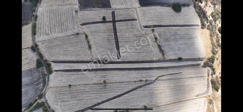 Cb King'den Cinge Mahallesi Satılık Tarla