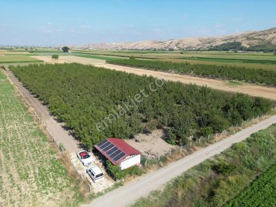 Pw Plus 'tan Mustafakemalpaşa Güllüce 'de Müstakil Tapulu Tarla