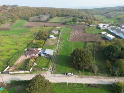 Pw Plus'tan Mustafakemalpaşa Derekadıda Yola Cephe Satılık Tarla