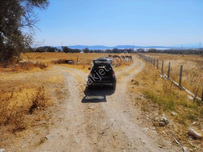 Mordoğan Emlaktan Yerleşim Yeri İçerisinde 2600 M2 Satılık Tarla