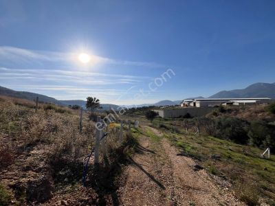 Kemalpaşada Elektrik Ve Suyu Bulunan Kooperatif Hisseli Arsa