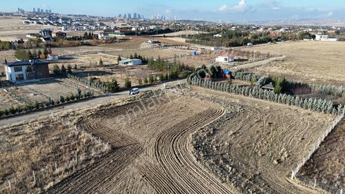 Hacılar Da 1500 M2 Tek Tapu Villa Parseli Karadeniz Emlaktan