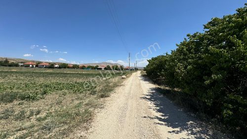 Uygun Fiyata Parseller