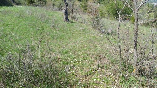Akseki Hocaköy De Tek Tapu Satılık Bahçe