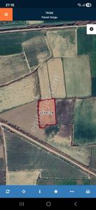 P.muammer Aksoy Mahallesi 6.250 M2 Tarla