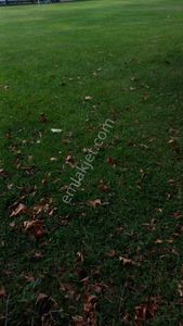 Pendik Sapanbağlarda % 50 Kat Karşılığı Deniz Manzaralı Düşeş Arsa No:142