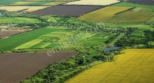 Kestel Kayacıkta Satılık Tarla