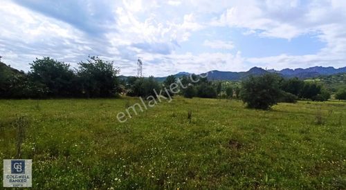 Tunceli İsmet İnönü'de Yatırımlık Fırsat Arsalar