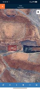 Arif Emlaktan Satılık Oğuzeli Direklide Tek Tapu Yatırımlık Arazi