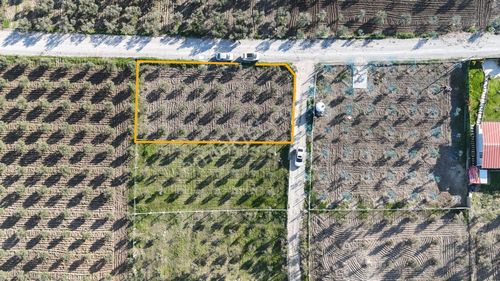 İzmir Menderes Tekeli-develi Üstünde Kupon Hisseli Tapu Zeytinli Bahçe 676 M2