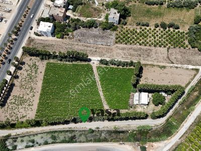 Yaşa Gyd - Erdemli Arpaçbahşiş 9693 M2 Satılık Ticarı Arsa