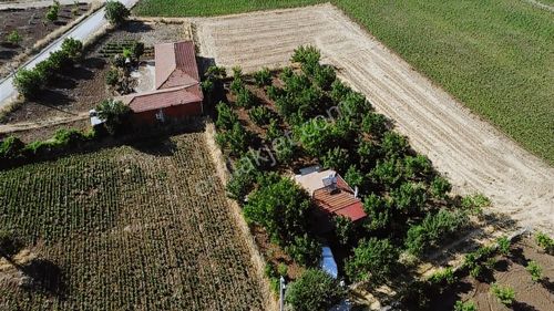 Kocabıyık Gayrimenkul'den Tavas Sofular Ceviz Bahçesi