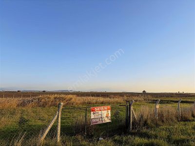 Foça Yenibağarası'nda Satılık Tarla