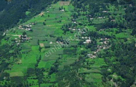 Trabzon Araklı Dağbaşı Köyü Mükemmel Manzaralı İmarlı Arsa