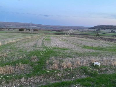 Vize Gayrimenkulden Evrencikte Asfalt Cephe Satılık Tarla