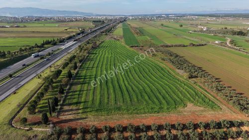 İzmir Havaalanına Ve İmara Yakın Satılık Tektapu 1.400 M2 Yatırımlık Arazi
