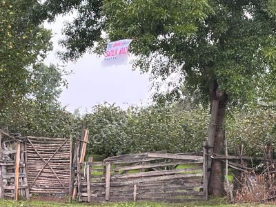 Görgülü Emlaktan Satılık Arazi 9900 M²