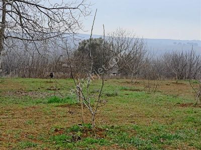 Yenişehir Kavaklı Da Köy İçi İmarlı Satılık 1500 M2 Arsa