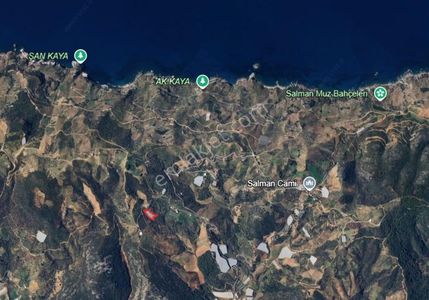 Salman'da D400 Ve Denize Yakın Konumda Geniş Tarla