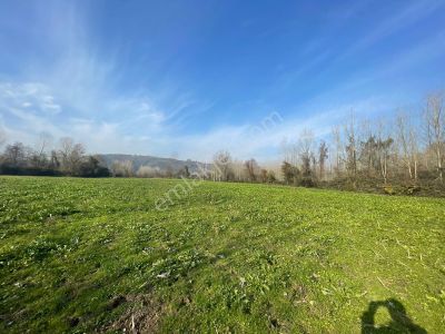 Karasu Darıçayırın'da 9.350m2 Satılık Tarla