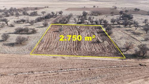 Konya / Kadınhanı / Başkuyu Fatih Mahallesinde 2.750 M² Müstakil Tapulu Tarla