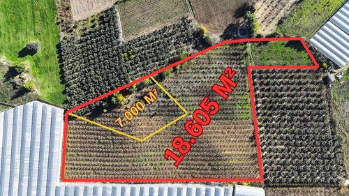 Üründü Mahallesinde Satılık 18.000 M² Tarla