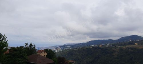 Akyazıda Satılık 1800 Arsa