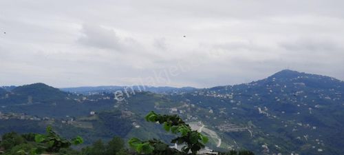 Akyazı Cami Mah Satılık Arsa İmarlı