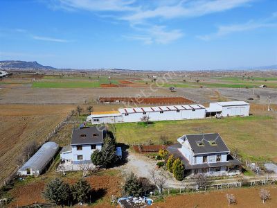 Net Premium'dan Tavas Ana Asfalt'da Muhteşem Çiftlik