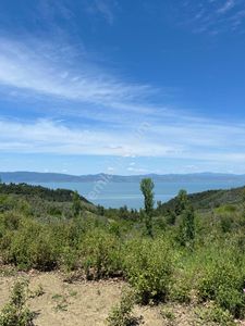 İznikte Önü Asla Kapanmayacak Göl Manzaralı Tarla