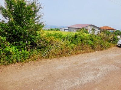 Kaçırılmaz Fırsat 67 M Yola Cephe Şekli Harika