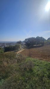 Baytürk Gayrimenkul'den Karakoca'da 1.500 M² Köye Yakın Tarla